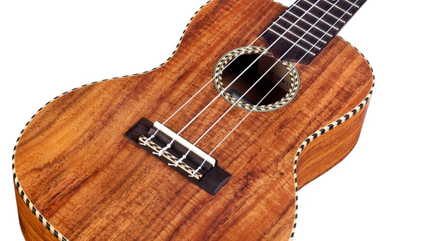 Cordoba 25C Konzert Ukulele, Decke Akazie massiv, Korpus Akazie